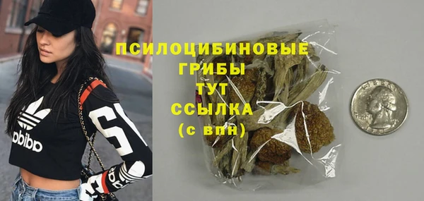 сатива Абинск
