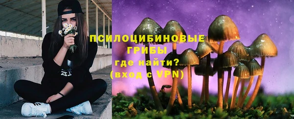 ПСИЛОЦИБИНОВЫЕ ГРИБЫ Нязепетровск