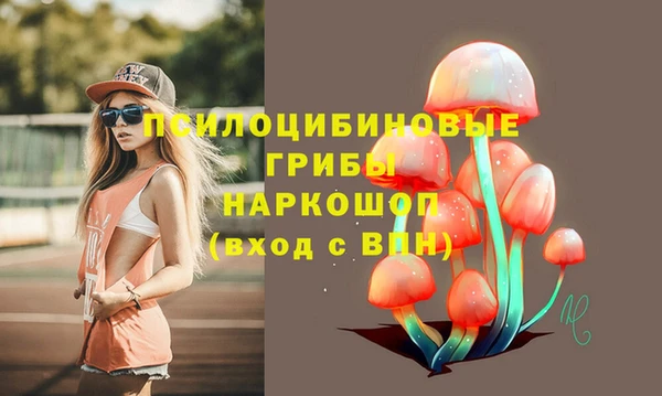 прущий лед Няндома
