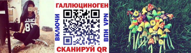 Псилоцибиновые грибы Psilocybe  Курчатов 